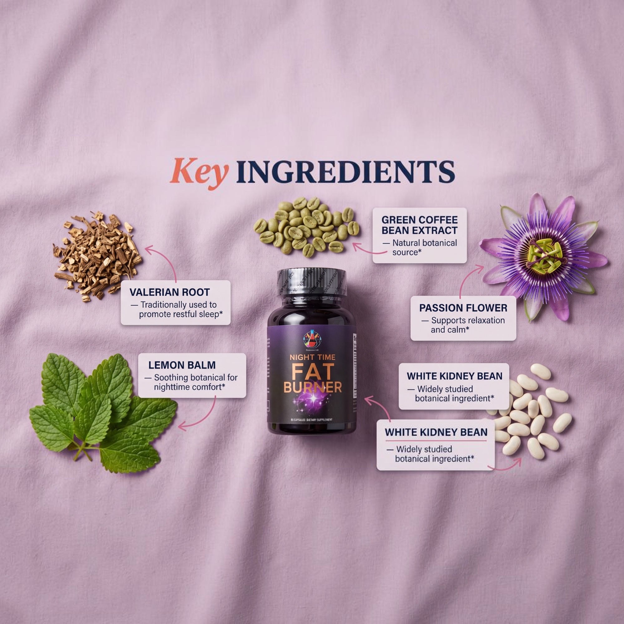 NIGHT TIMER FAT BURNER